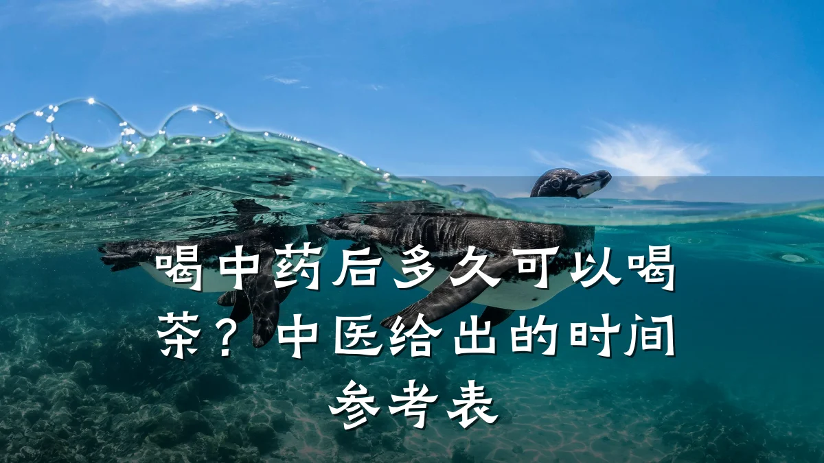 喝中药后多久可以喝茶?中医给出的时间参考表
