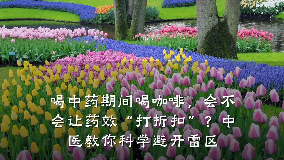 喝中药期间喝咖啡,会不会让药效“打折扣”?中医教你科学避开雷区