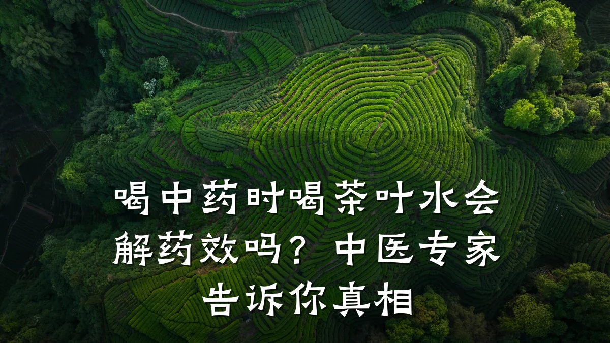 喝中药时喝茶叶水会解药效吗?中医专家告诉你真相