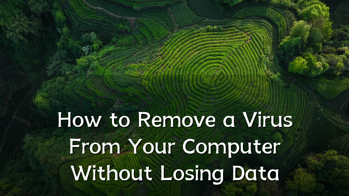 How to Remove a Virus From Your Computer Without Losing Data