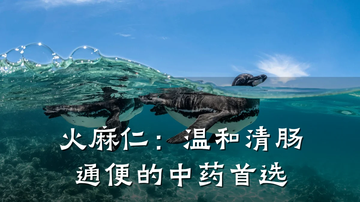火麻仁:温和清肠通便的中药首选