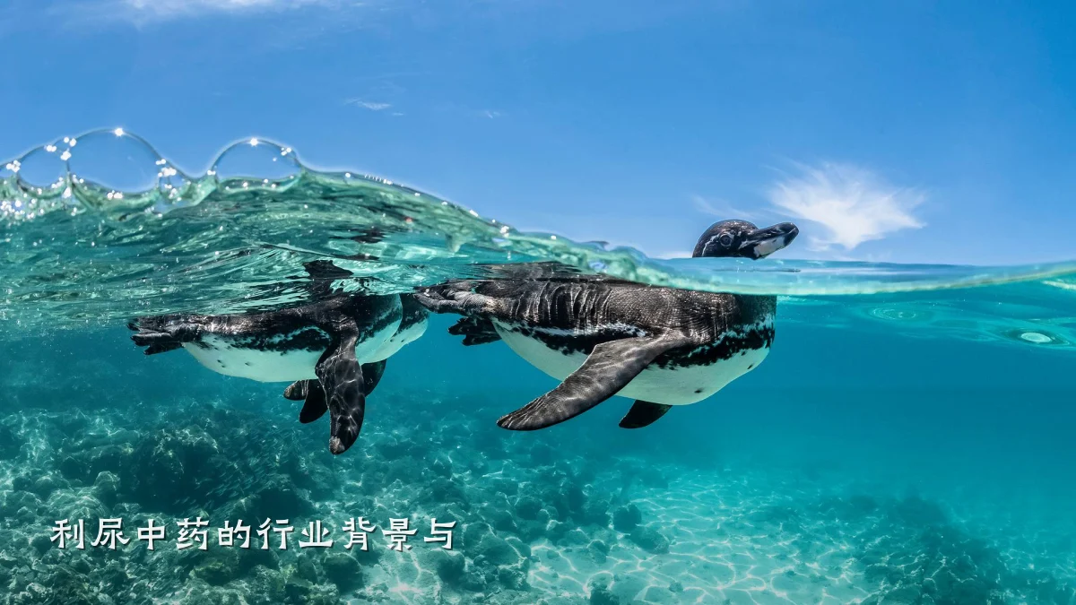 利尿中药的行业背景与