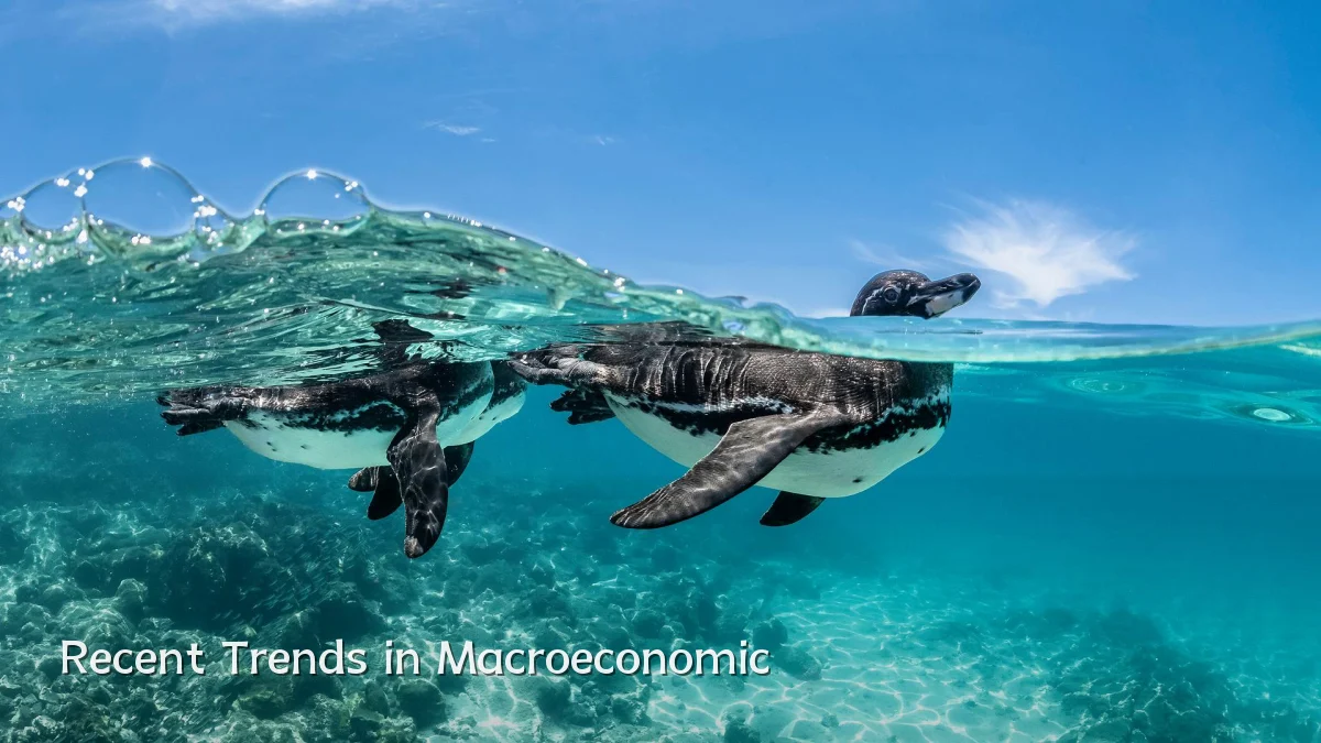 Recent Trends in Macroeconomic
