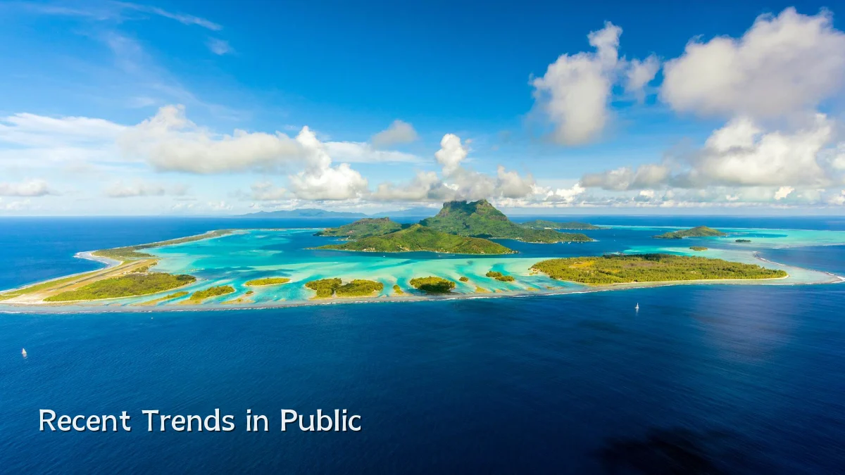 Recent Trends in Public