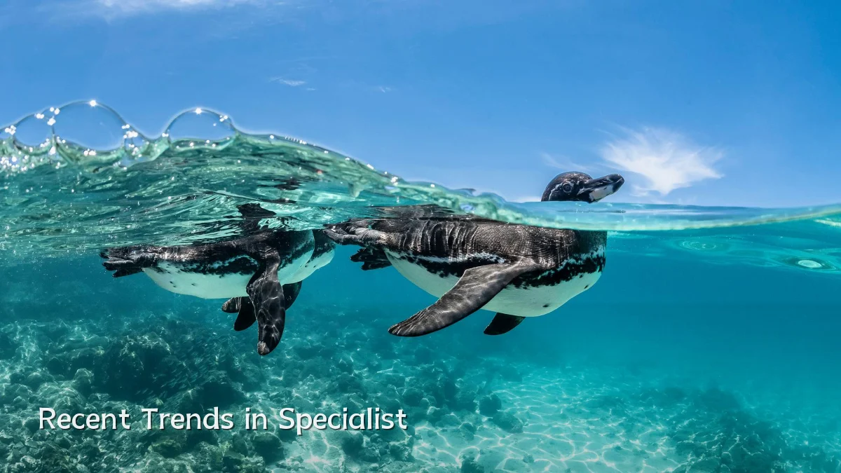 Recent Trends in Specialist