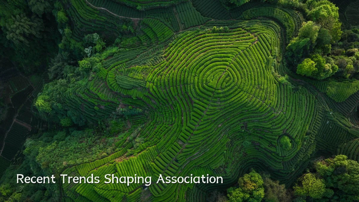 Recent Trends Shaping Association