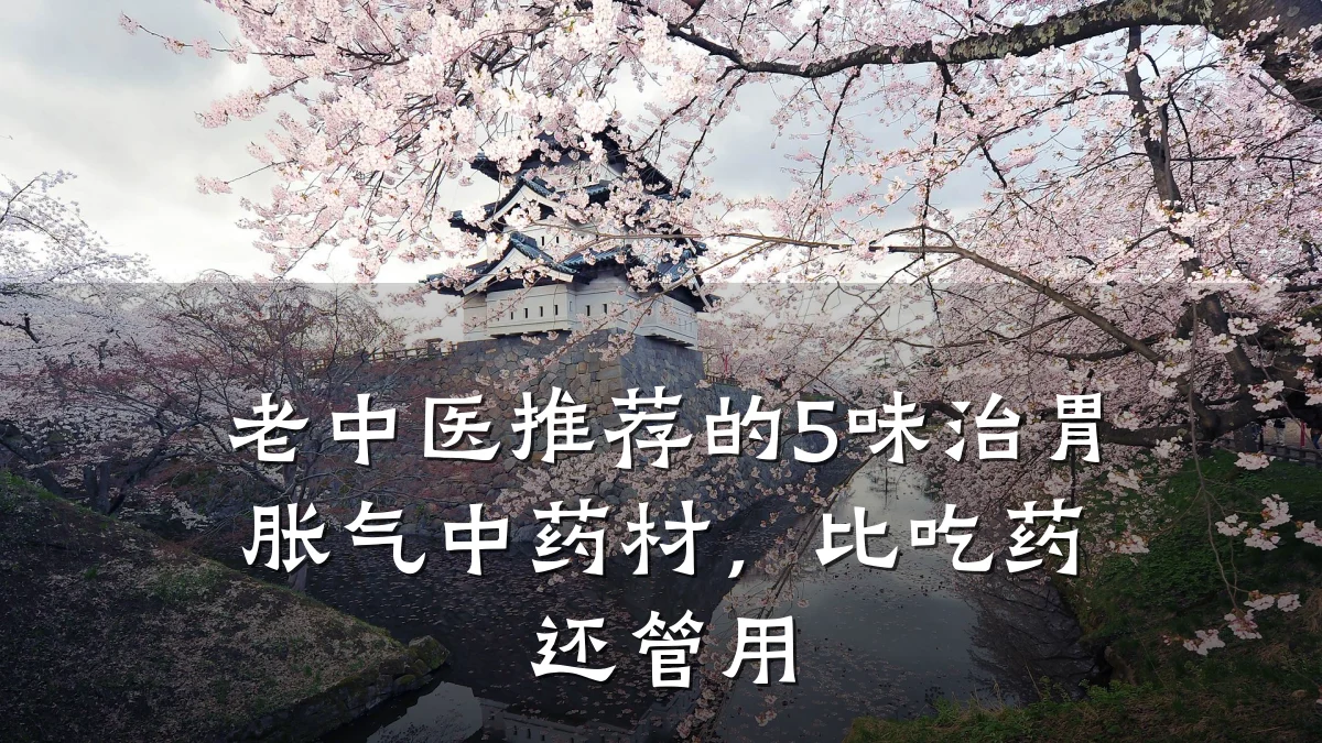 老中医推荐的5味治胃胀气中药材,比吃药还管用