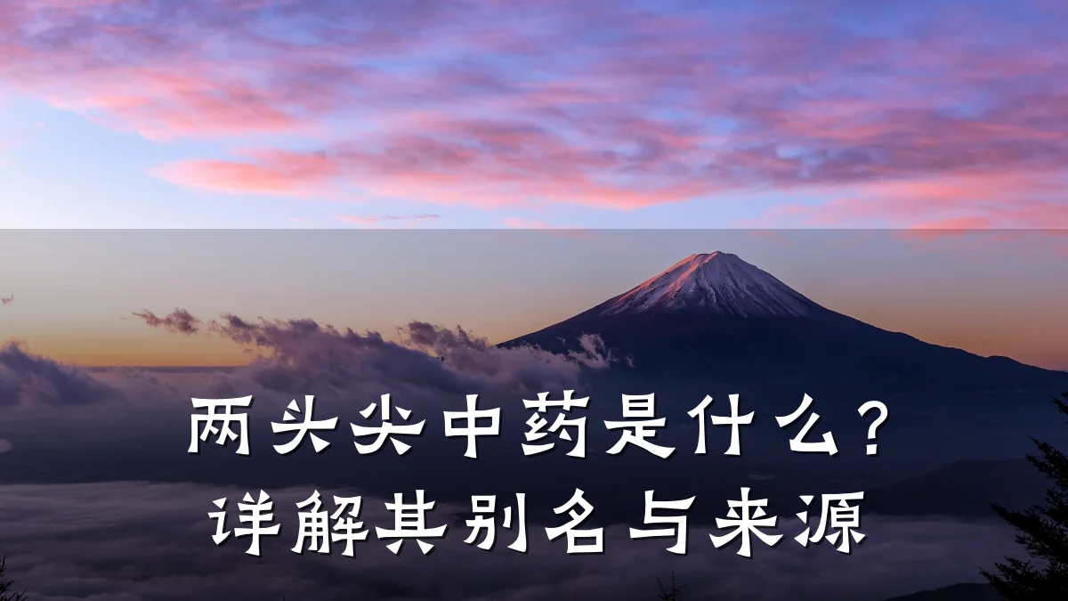两头尖中药是什么?详解其别名与来源