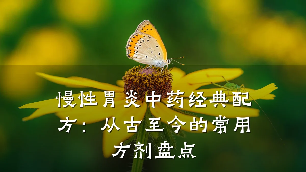 慢性胃炎中药经典配方：从古至今的常用方剂盘点