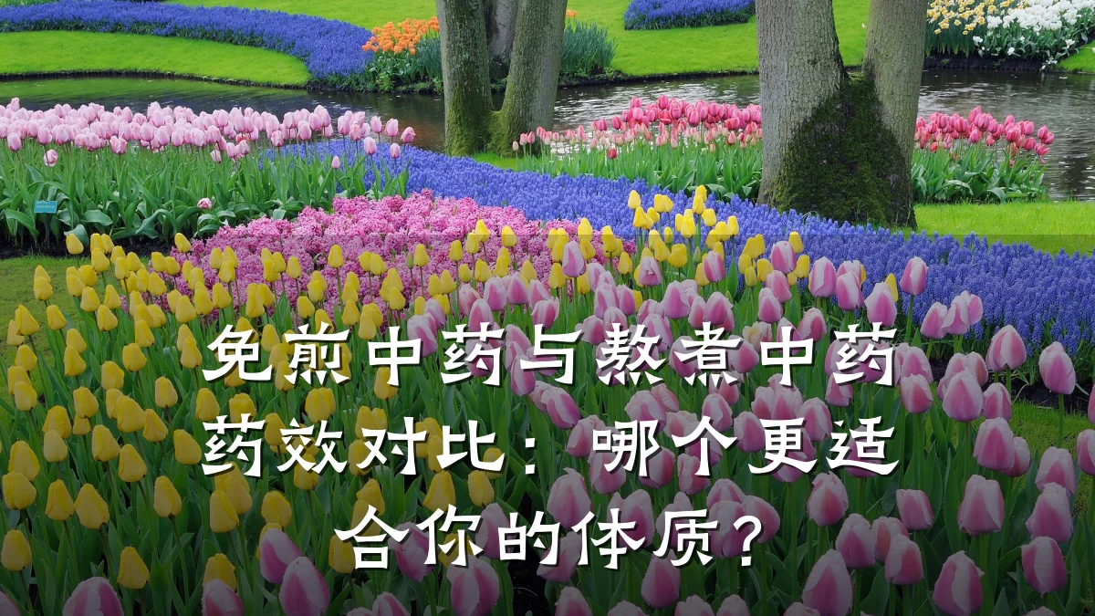 免煎中药与熬煮中药药效对比：哪个更适合你的体质？