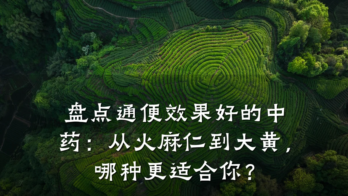 盘点通便效果好的中药:从火麻仁到大黄,哪种更适合你?