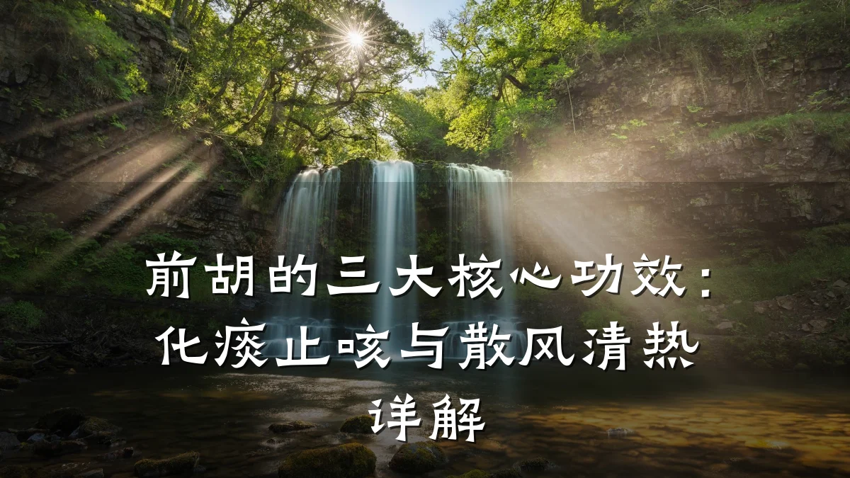 前胡的三大核心功效:化痰止咳与散风清热详解