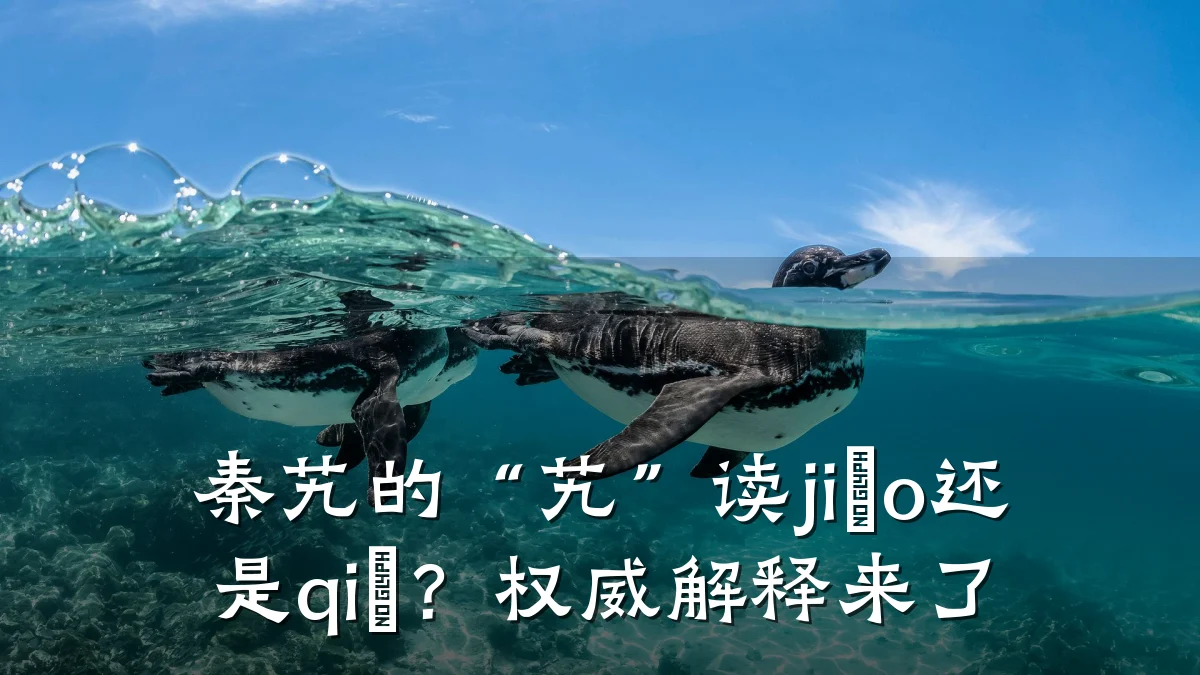 秦艽的“艽”读jiāo还是qiú?权威解释来了