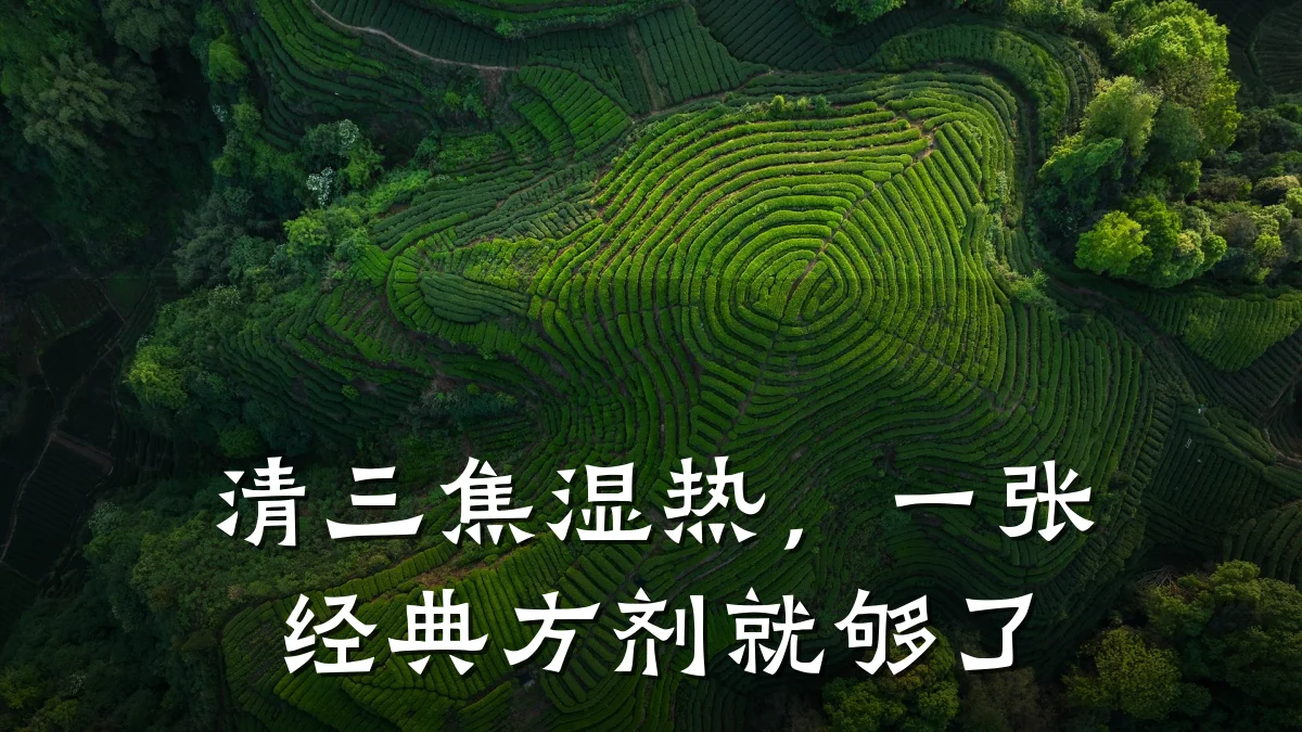 清三焦湿热，一张经典方剂就够了