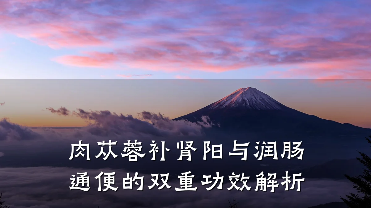肉苁蓉补肾阳与润肠通便的双重功效解析