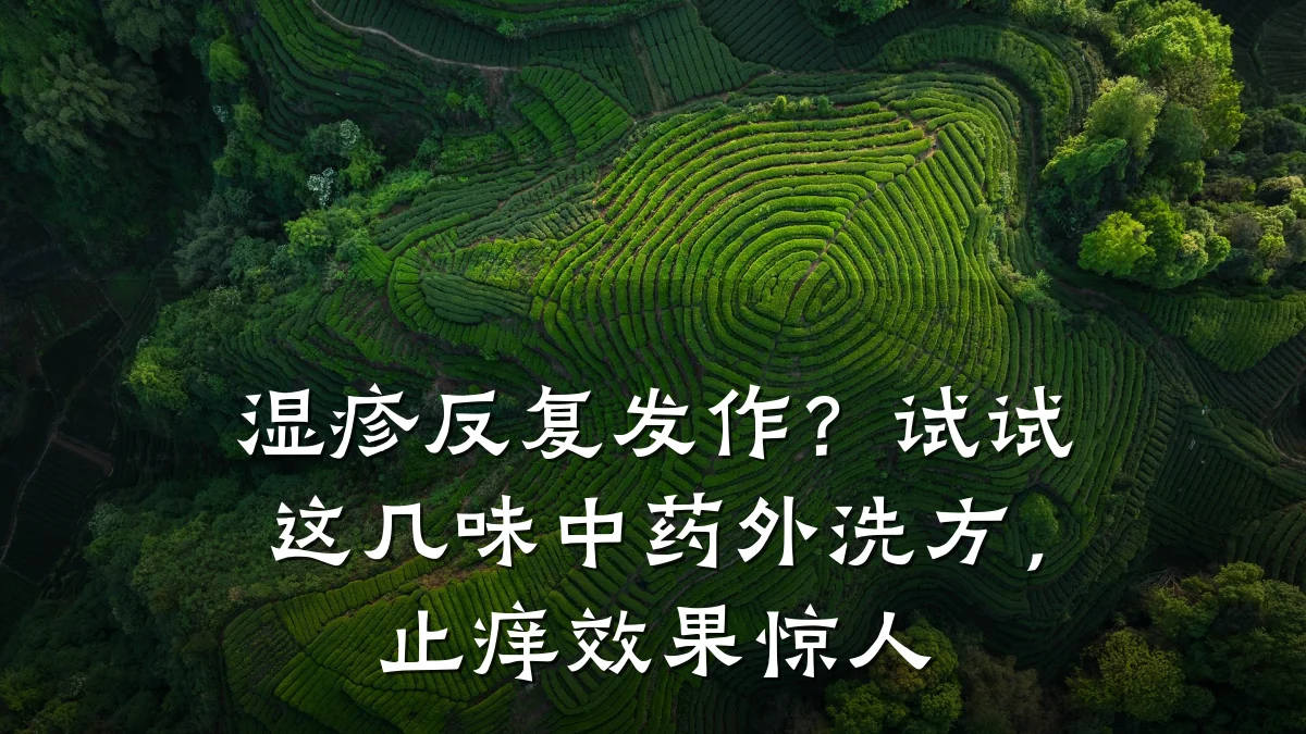 湿疹反复发作?试试这几味中药外洗方,止痒效果惊人