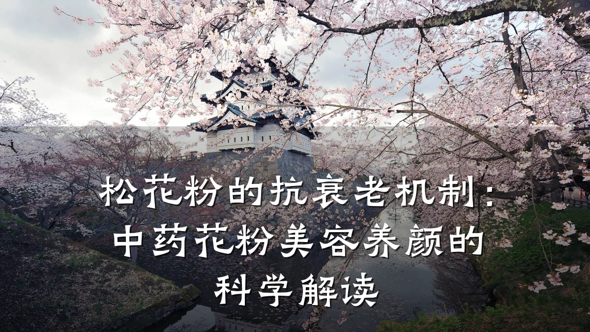 松花粉的抗衰老机制:中药花粉美容养颜的科学解读