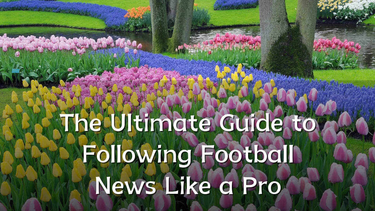 The Ultimate Guide to Following Football News Like a Pro