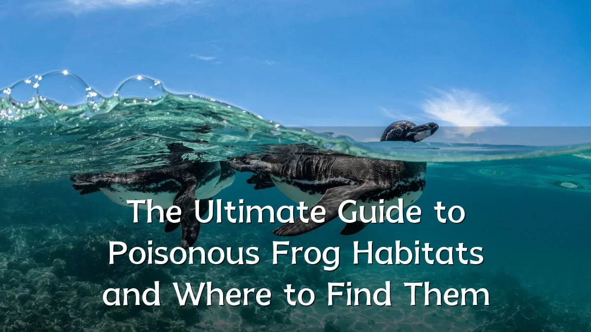 The Ultimate Guide to Poisonous Frog Habitats and Where to Find Them
