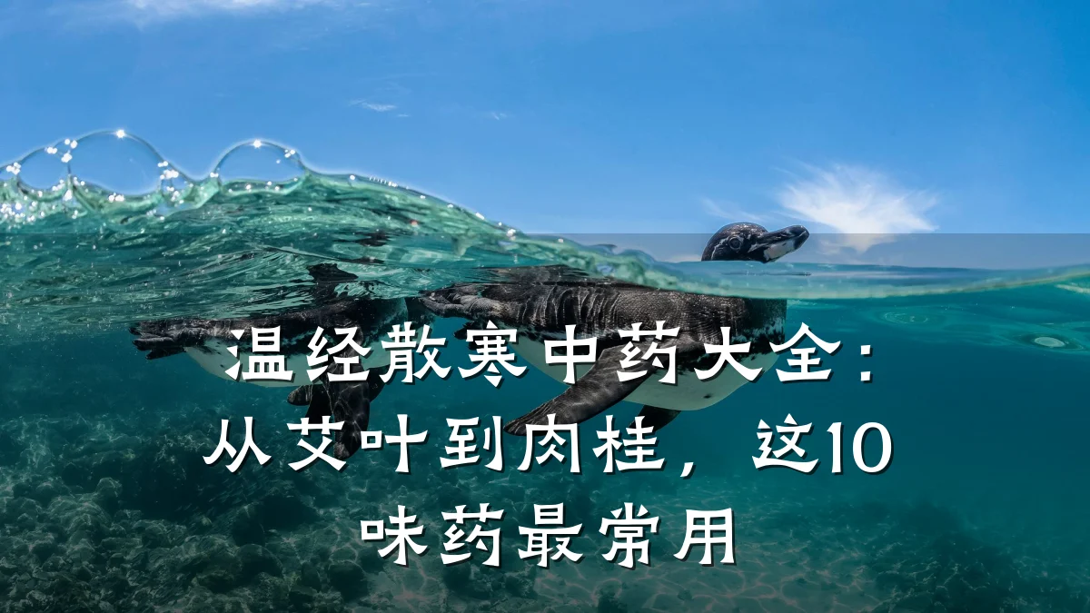温经散寒中药大全:从艾叶到肉桂,这10味药最常用