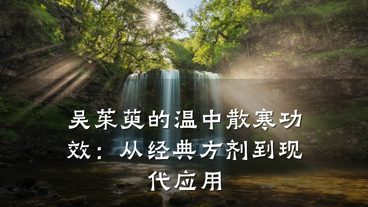 吴茱萸的温中散寒功效:从经典方剂到现代应用