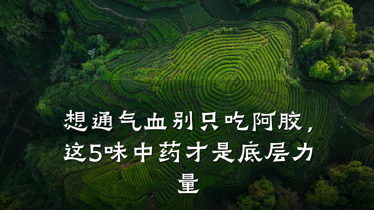 想通气血别只吃阿胶,这5味中药才是底层力量