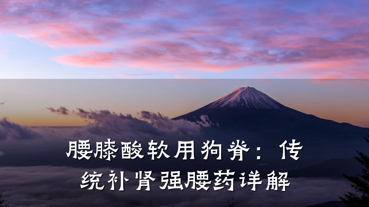 腰膝酸软用狗脊:传统补肾强腰药详解