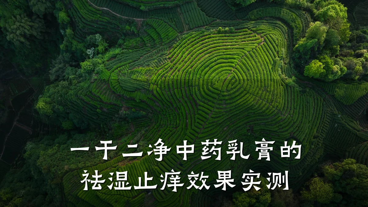 一干二净中药乳膏的祛湿止痒效果实测