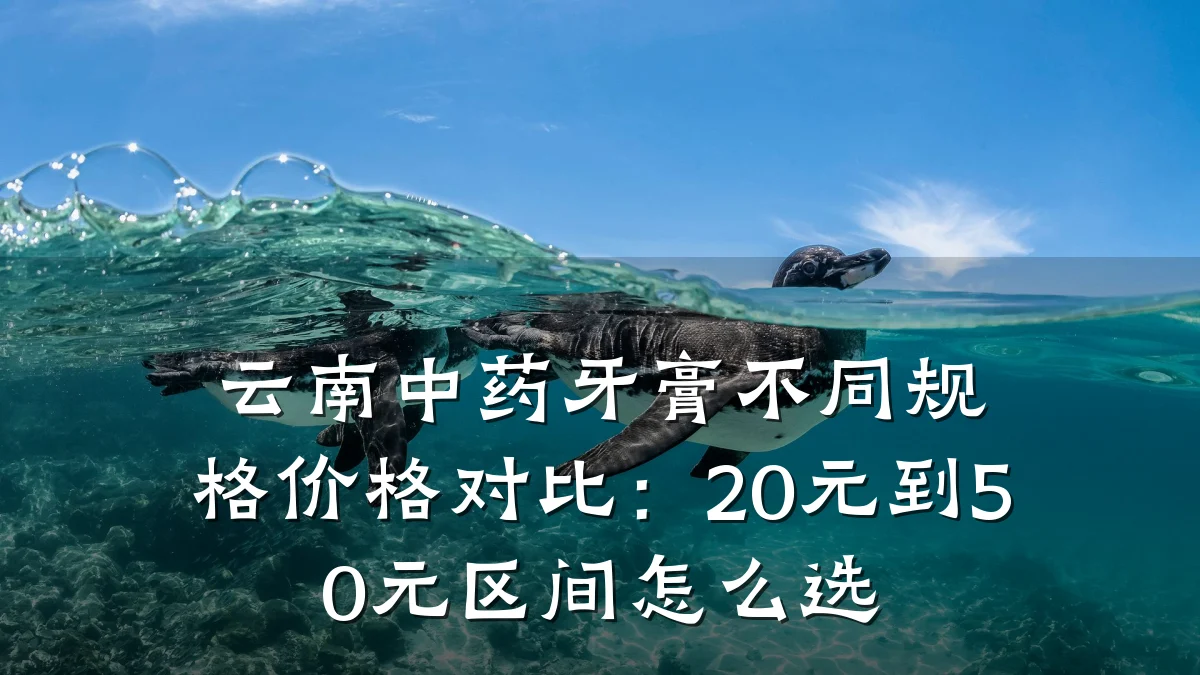 云南中药牙膏不同规格价格对比：20元到50元区间怎么选