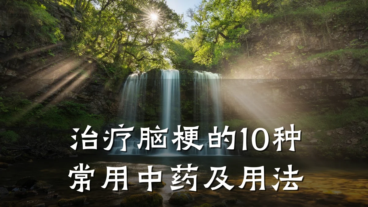 治疗脑梗的10种常用中药及用法