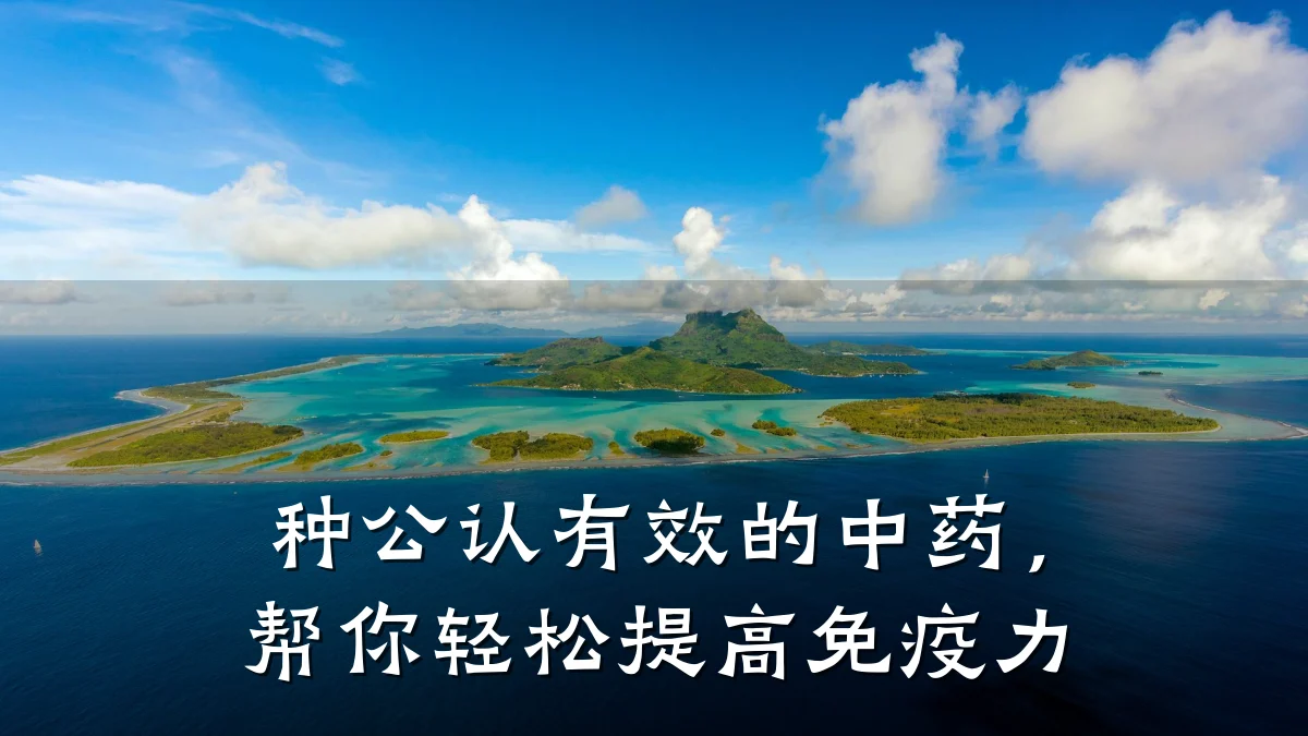 种公认有效的中药,帮你轻松提高免疫力
