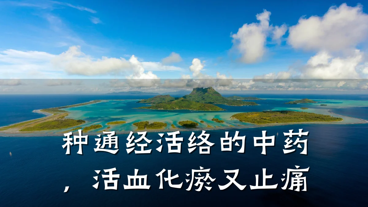 种通经活络的中药,活血化瘀又止痛