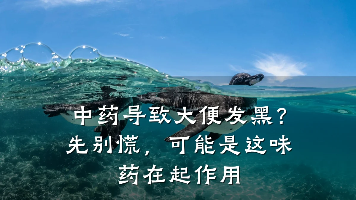 中药导致大便发黑?先别慌,可能是这味药在起作用