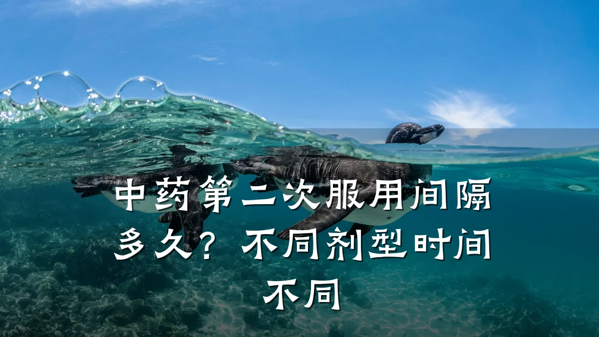 中药第二次服用间隔多久?不同剂型时间不同