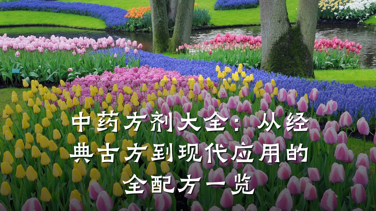 中药方剂大全：从经典古方到现代应用的全配方一览