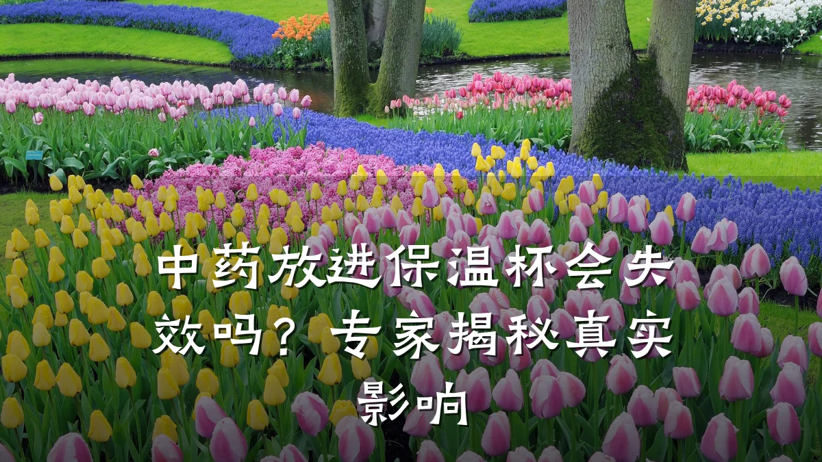 中药放进保温杯会失效吗?专家揭秘真实影响