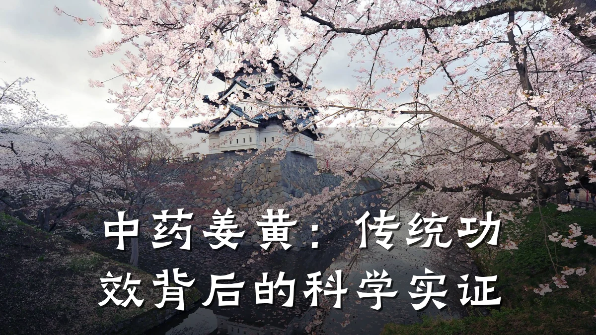 中药姜黄:传统功效背后的科学实证