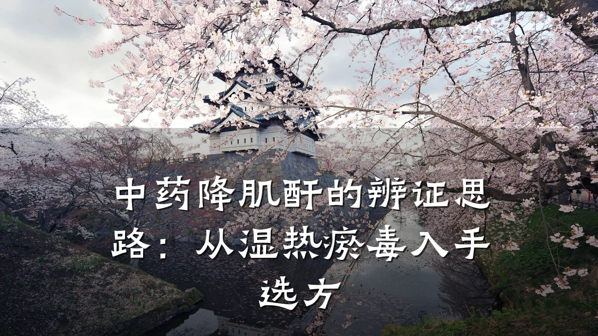 中药降肌酐的辨证思路:从湿热瘀毒入手选方