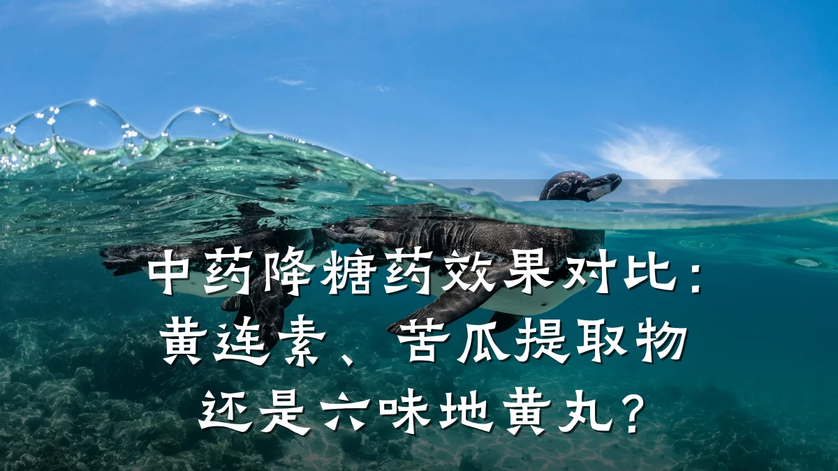 中药降糖药效果对比：黄连素、苦瓜提取物还是六味地黄丸？