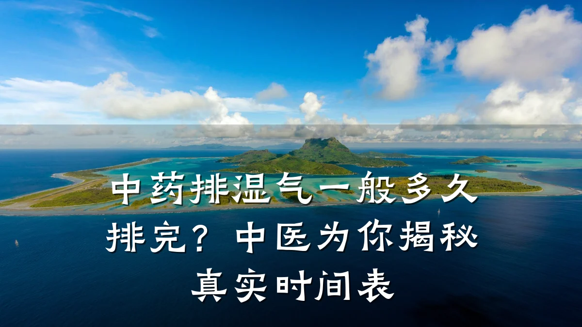 中药排湿气一般多久排完?中医为你揭秘真实时间表