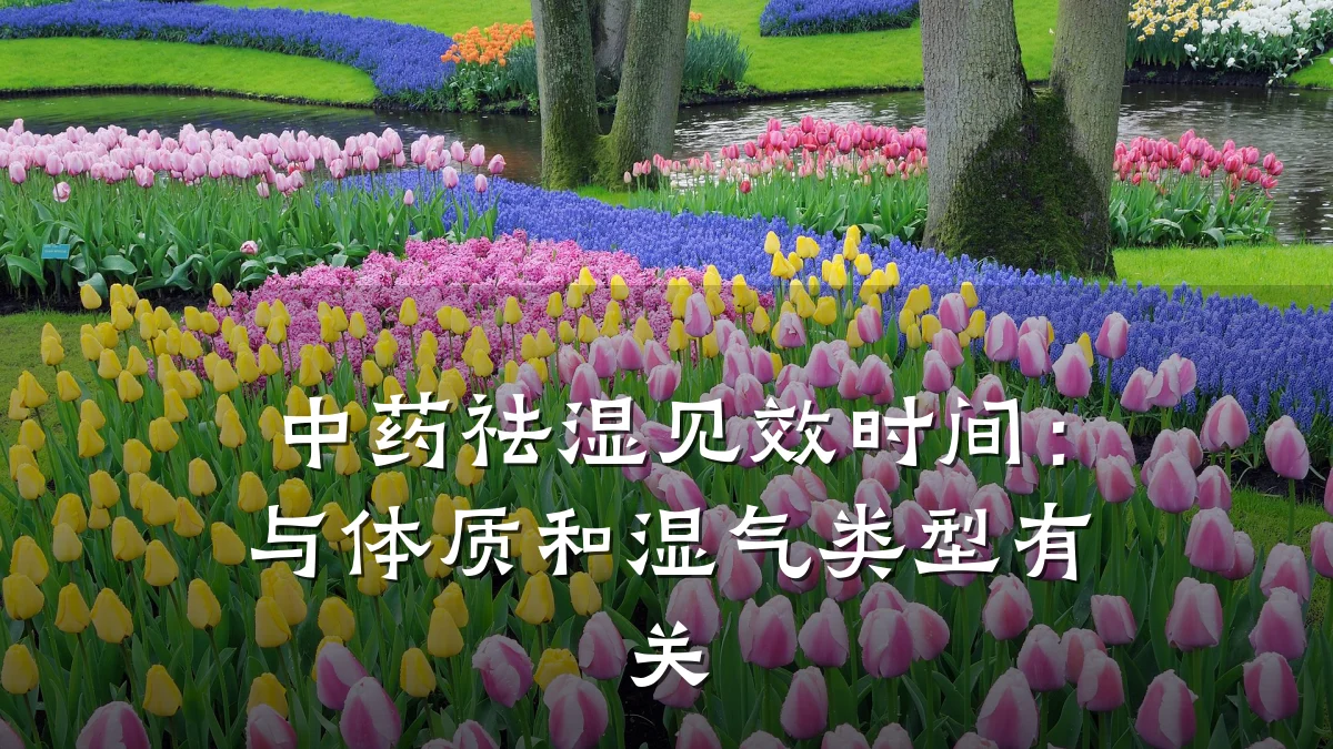 中药祛湿见效时间:与体质和湿气类型有关