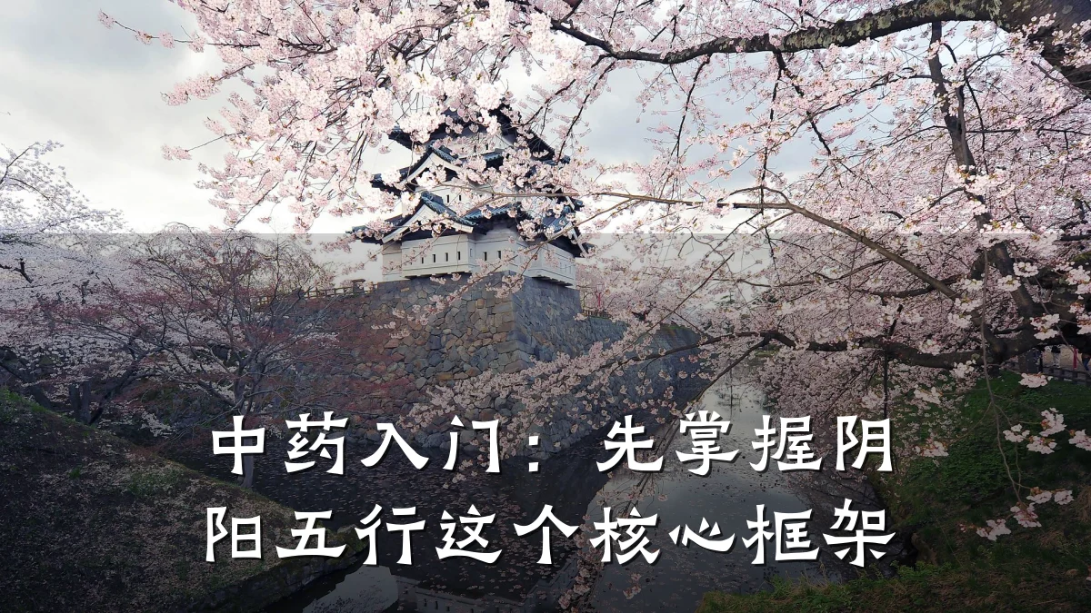 中药入门:先掌握阴阳五行这个核心框架