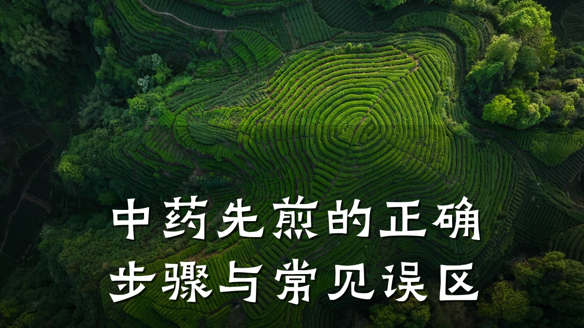 中药先煎的正确步骤与常见误区