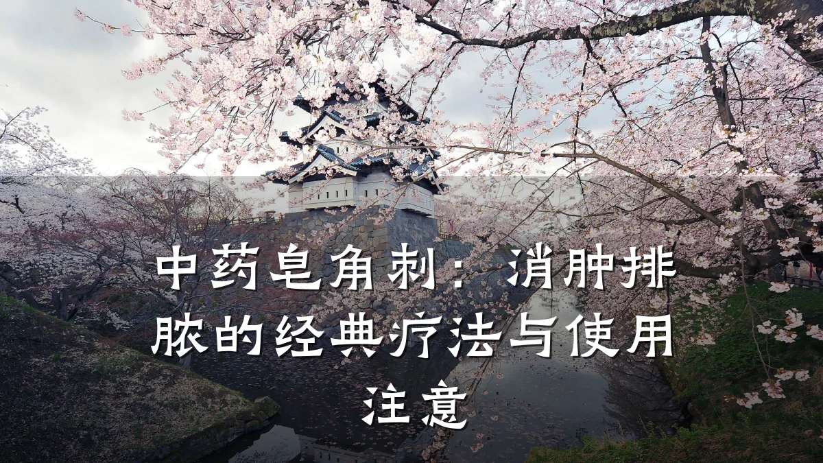 中药皂角刺：消肿排脓的经典疗法与使用注意