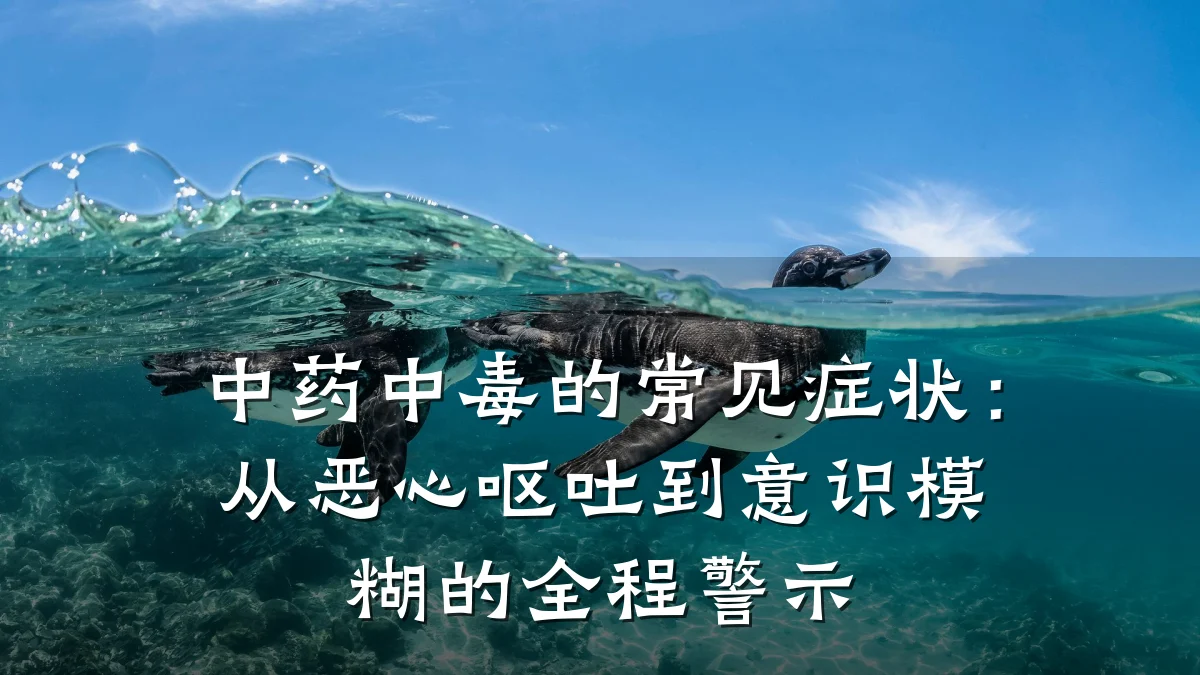 中药中毒的常见症状:从恶心呕吐到意识模糊的全程警示