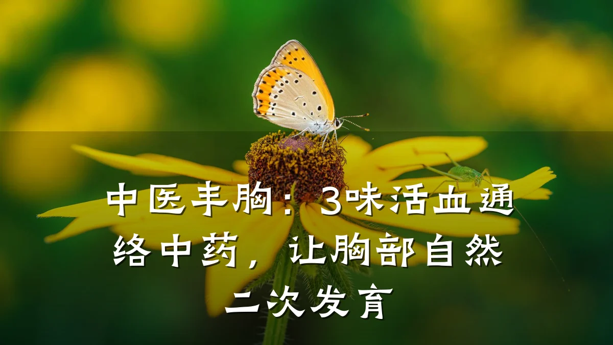中医丰胸：3味活血通络中药，让胸部自然二次发育