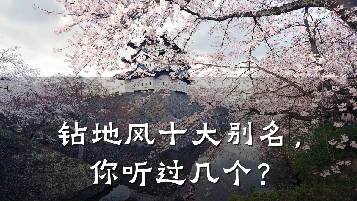 钻地风十大别名,你听过几个?