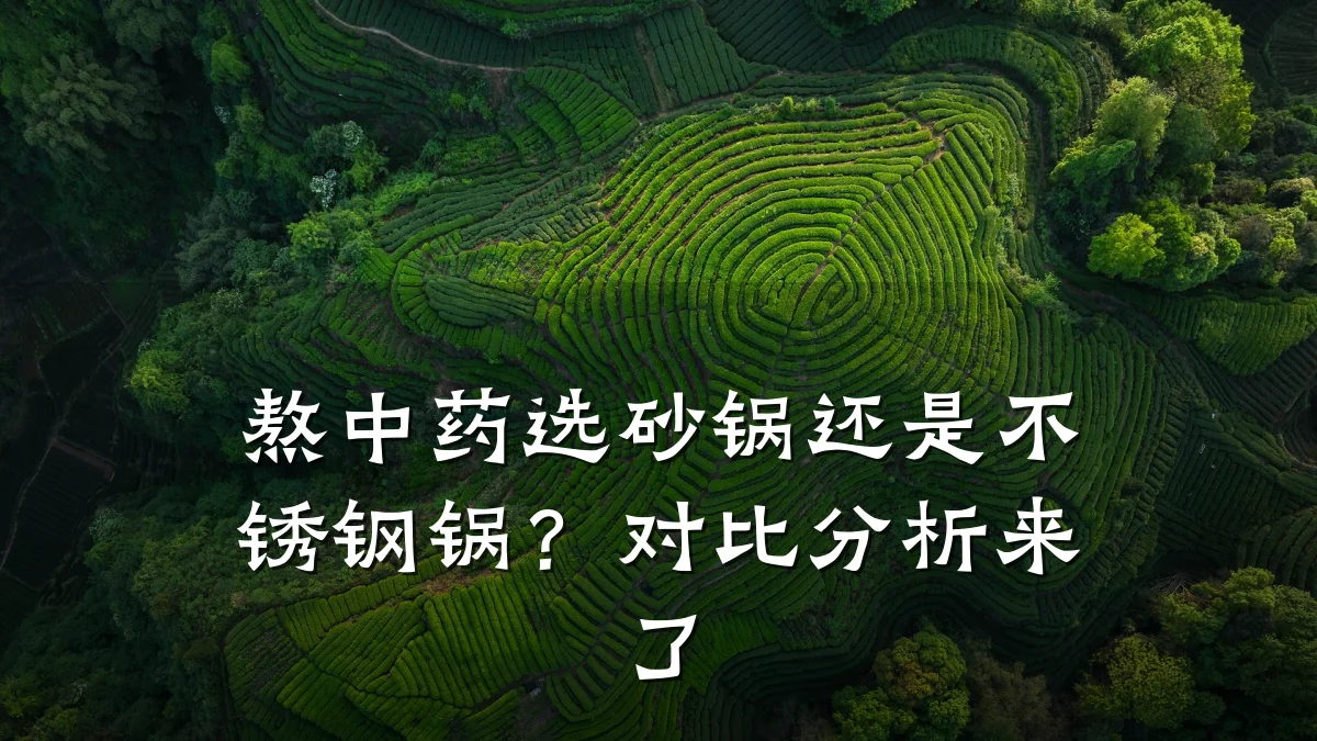 熬中药选砂锅还是不锈钢锅?对比分析来了