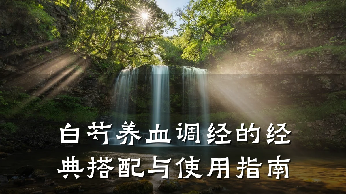 白芍养血调经的经典搭配与使用指南