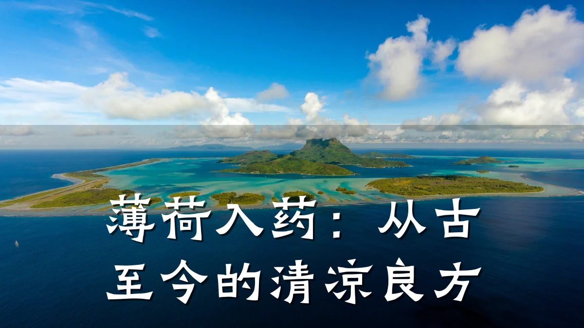 薄荷入药:从古至今的清凉良方
